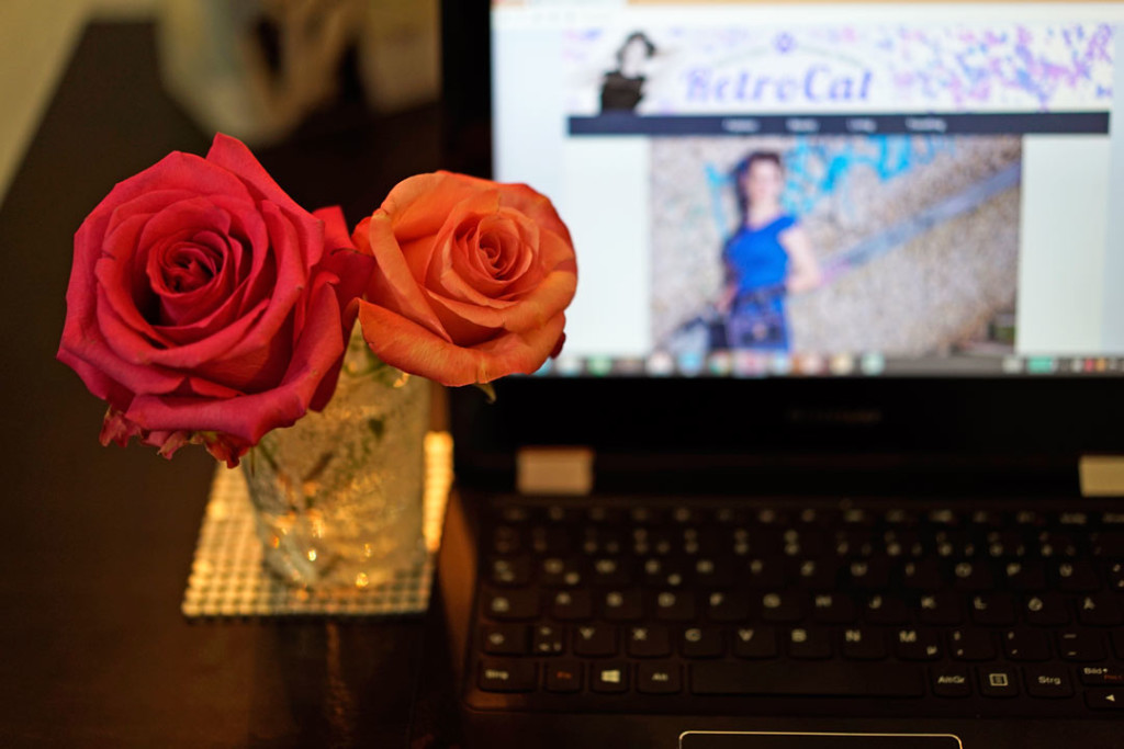 Pinke Rosen und RetroCats Netbook