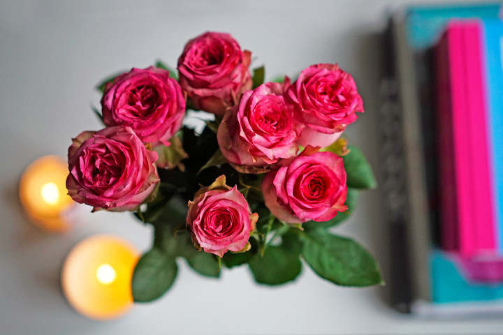 RetroCats pink roses in her appartment