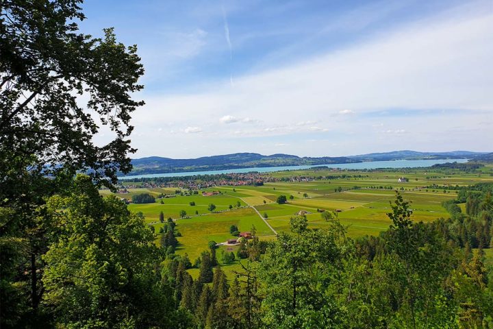 Wochenrückblick Nr. 1: Sonne, Bücher & ein Ausflug aufs Land