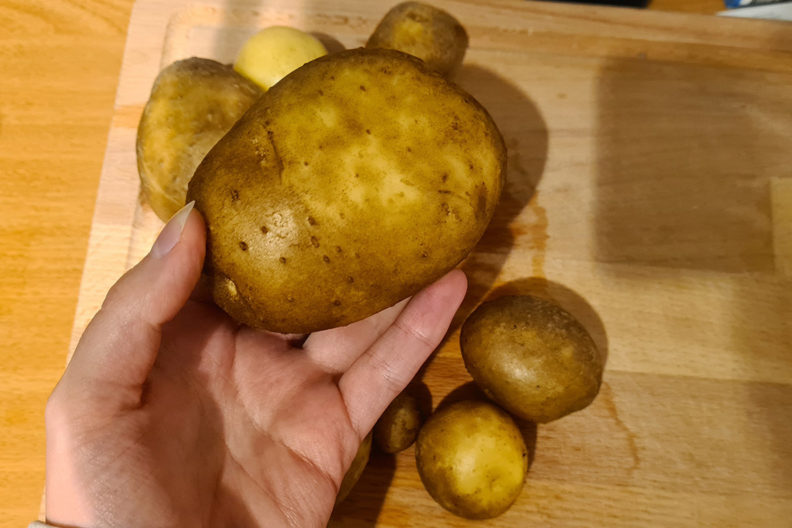 RetroCat's weekly review: Potatos from her balcony