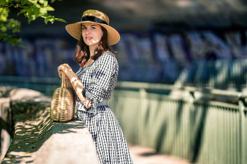 RetroCat wearing a straw hat by Faustmann