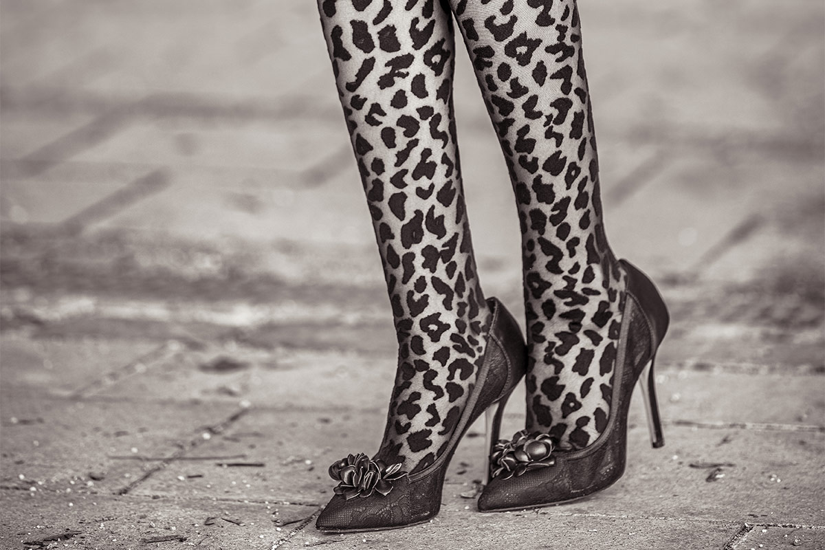 Zebra print outlet stockings