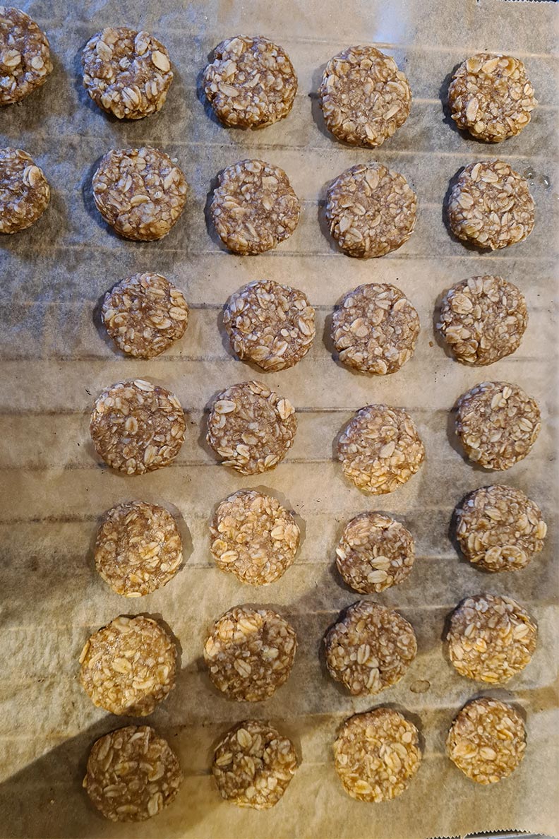The raw oatmeal cookies