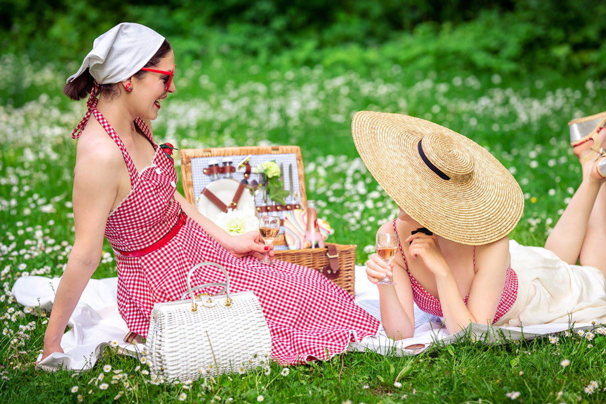 RetroCat and a friend having a picnic in nature