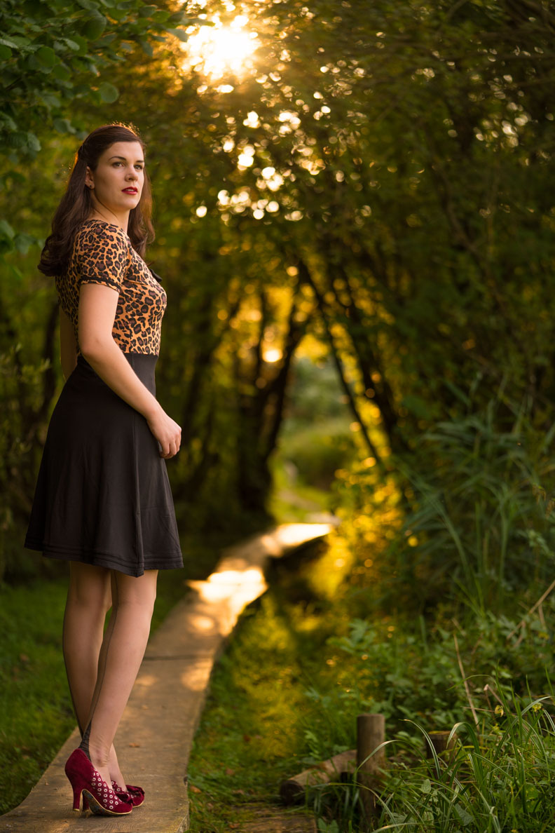 RetroCat mit einem Leoparden-Jersey-Kleid im Spätsommer