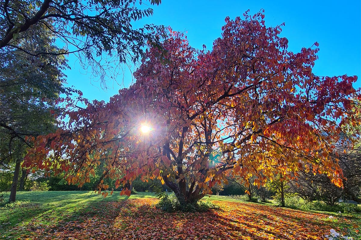 Mein Monatsrückblick für Oktober: Der schönste Herbst