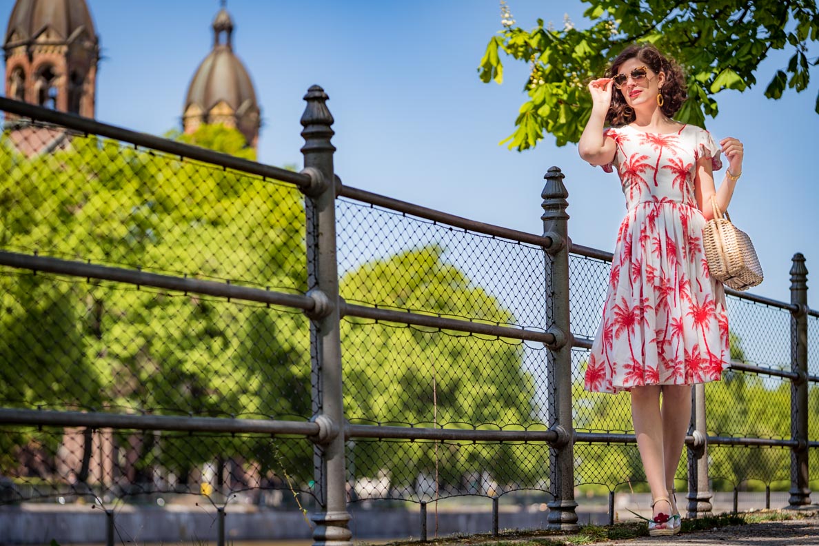 RetroCat wearing a pretty dress and a basket bag in spring