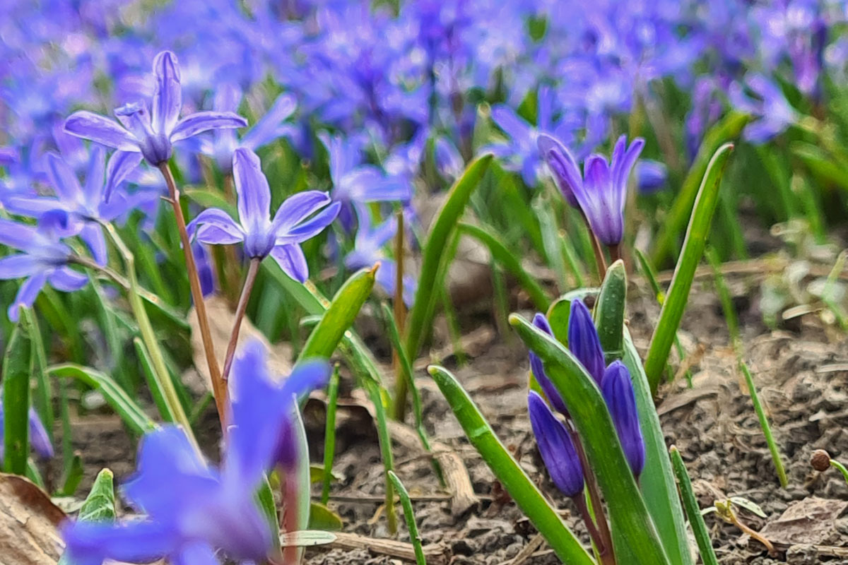 A Spring Day at Glockenbachviertel in Munich