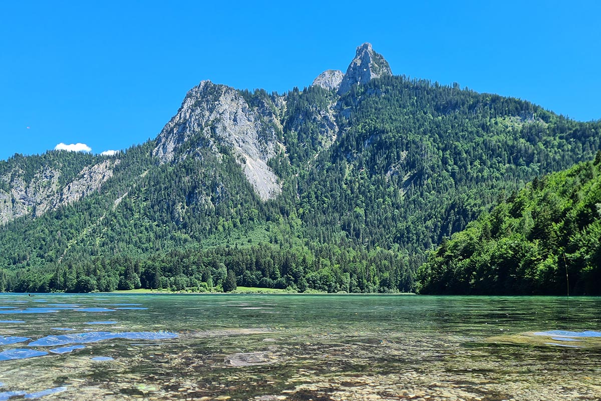 Mein Monatsrückblick für den Juni: Frühsommer auf dem Land