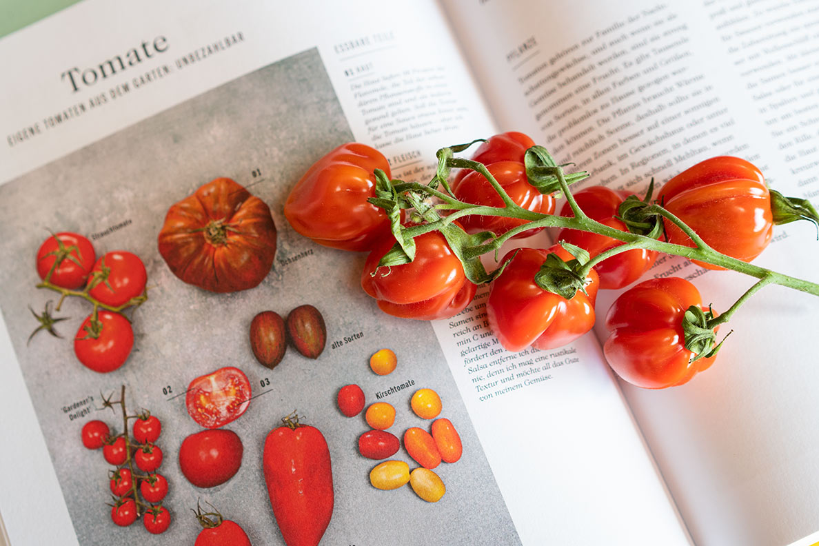 Tomaten im Kochbuch Frische Gemüse Küche von James Strawbridge