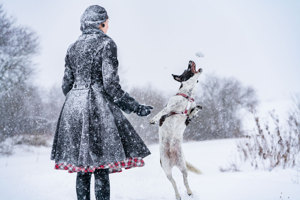 RetroCat beim Weihnachtsspaziergang mit Hund im Schnee