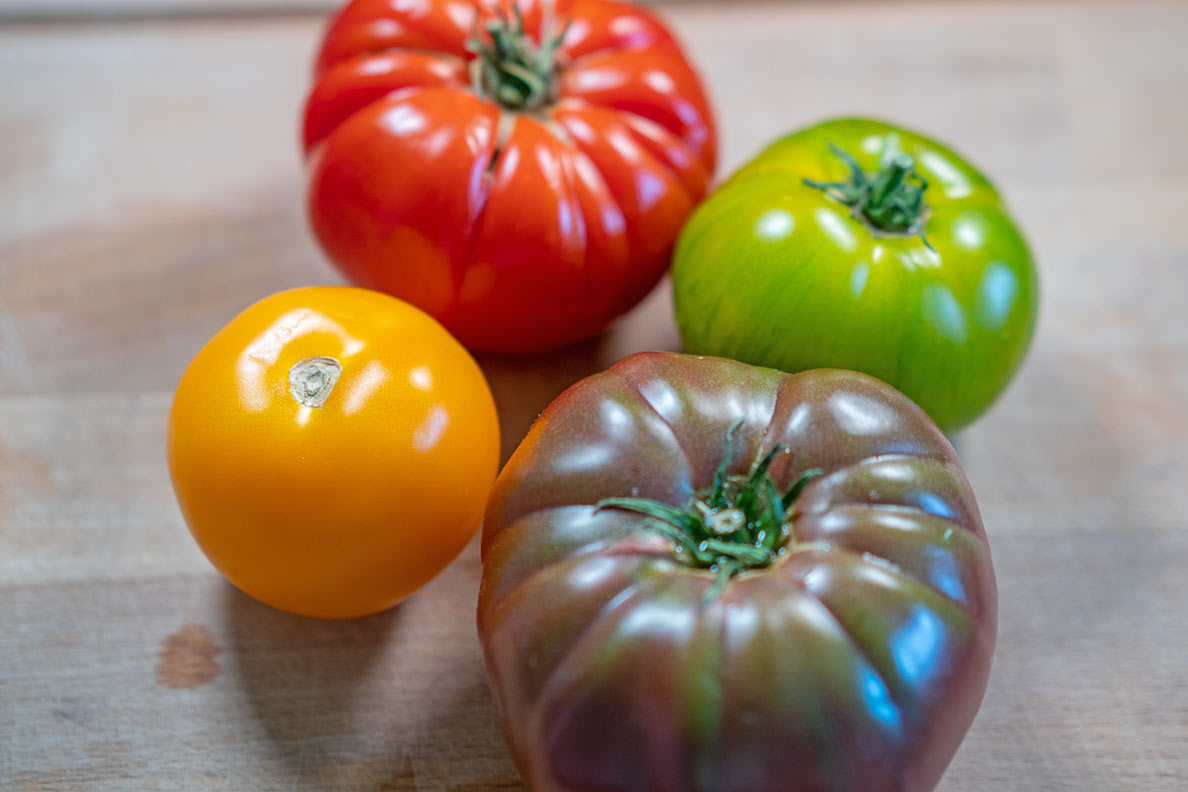 Tomaten aussäen und vorziehen: Garten-Update im Frühling