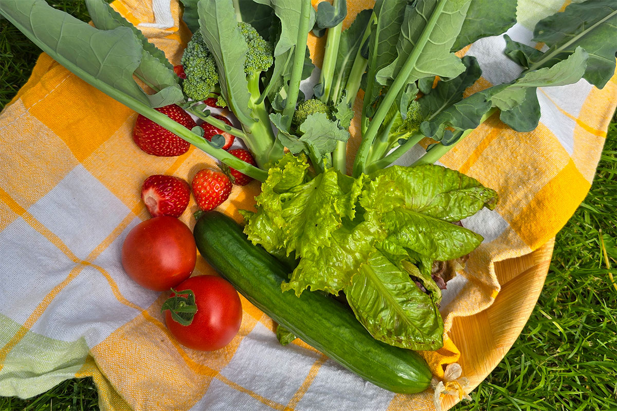 Mein Wochenrückblick: Leben im Garten