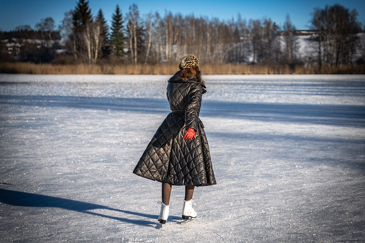 RetroCat beim Eislaufen auf dem See: Januar-Tipps