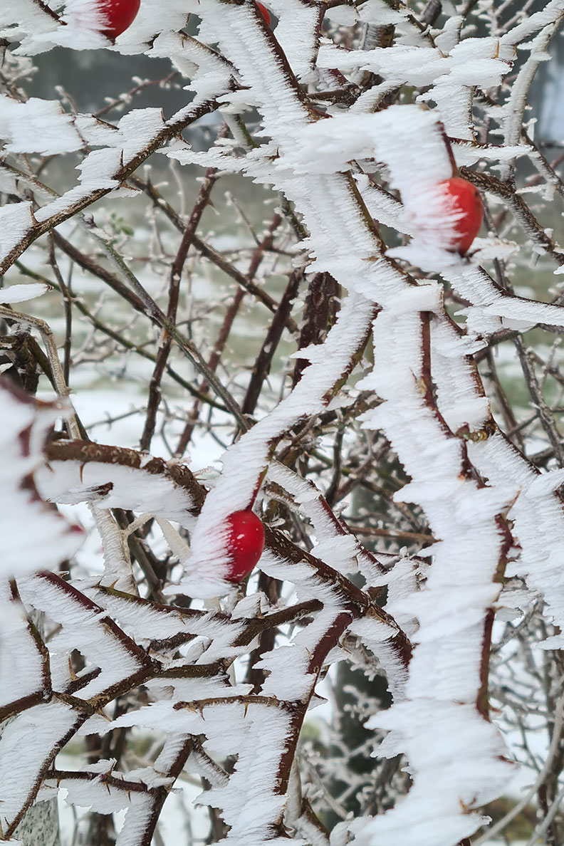 Januar-Tipps: Winterfotografie