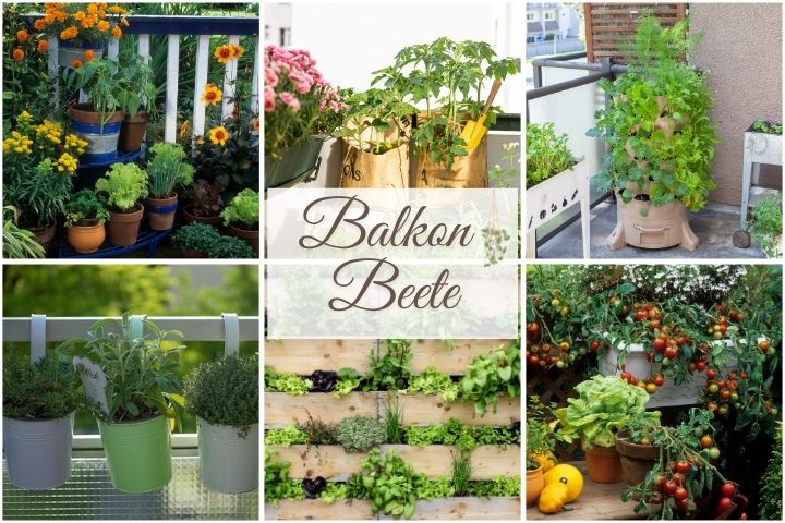 Platzsparende Beete für den Balkon: Die besten Ideen für deinen Balkongarten