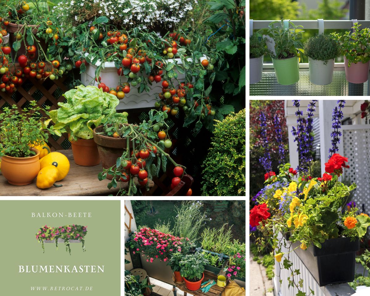 Balkon-Beete: Blumenkästen und Töpfe fürs Balkongeländer