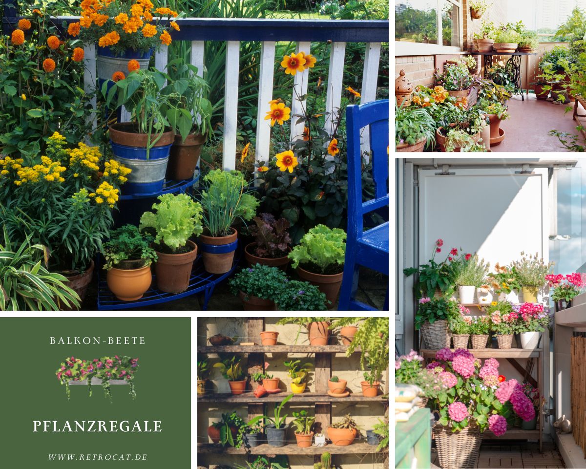 Praktische Pflanzregale für den Balkon: Urban Gardening