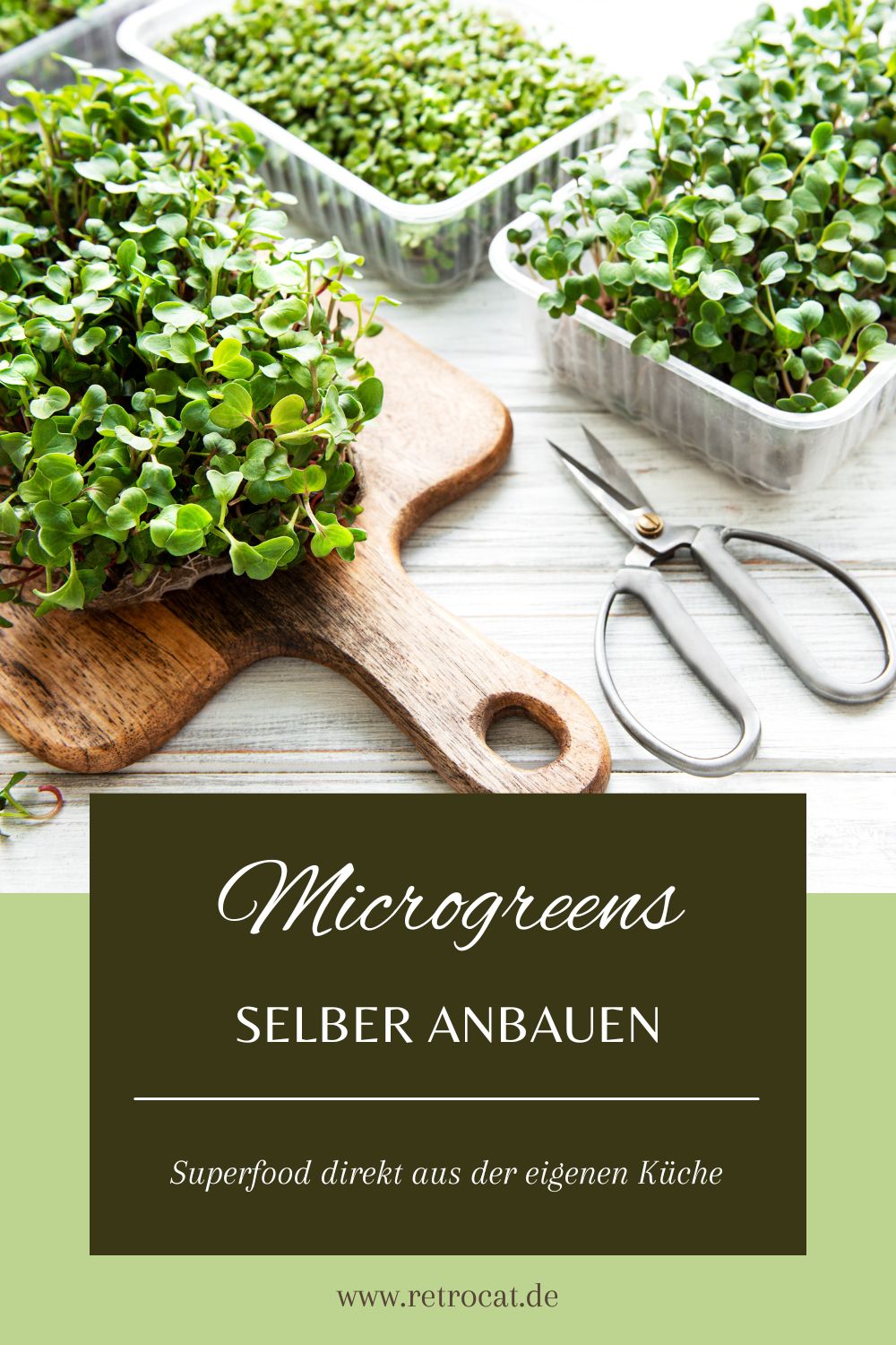 Microgreens anbauen: So einfach geht's