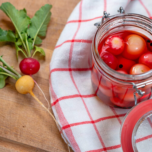 Schnell eingelegte Radieschen – einfaches Rezept zum Selbermachen