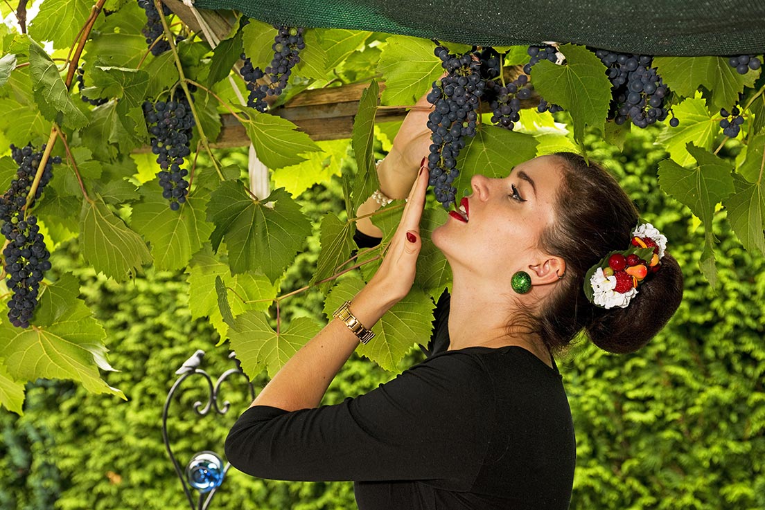 RetroCat vor einem Weinstock mit roten Trauben im Herbst