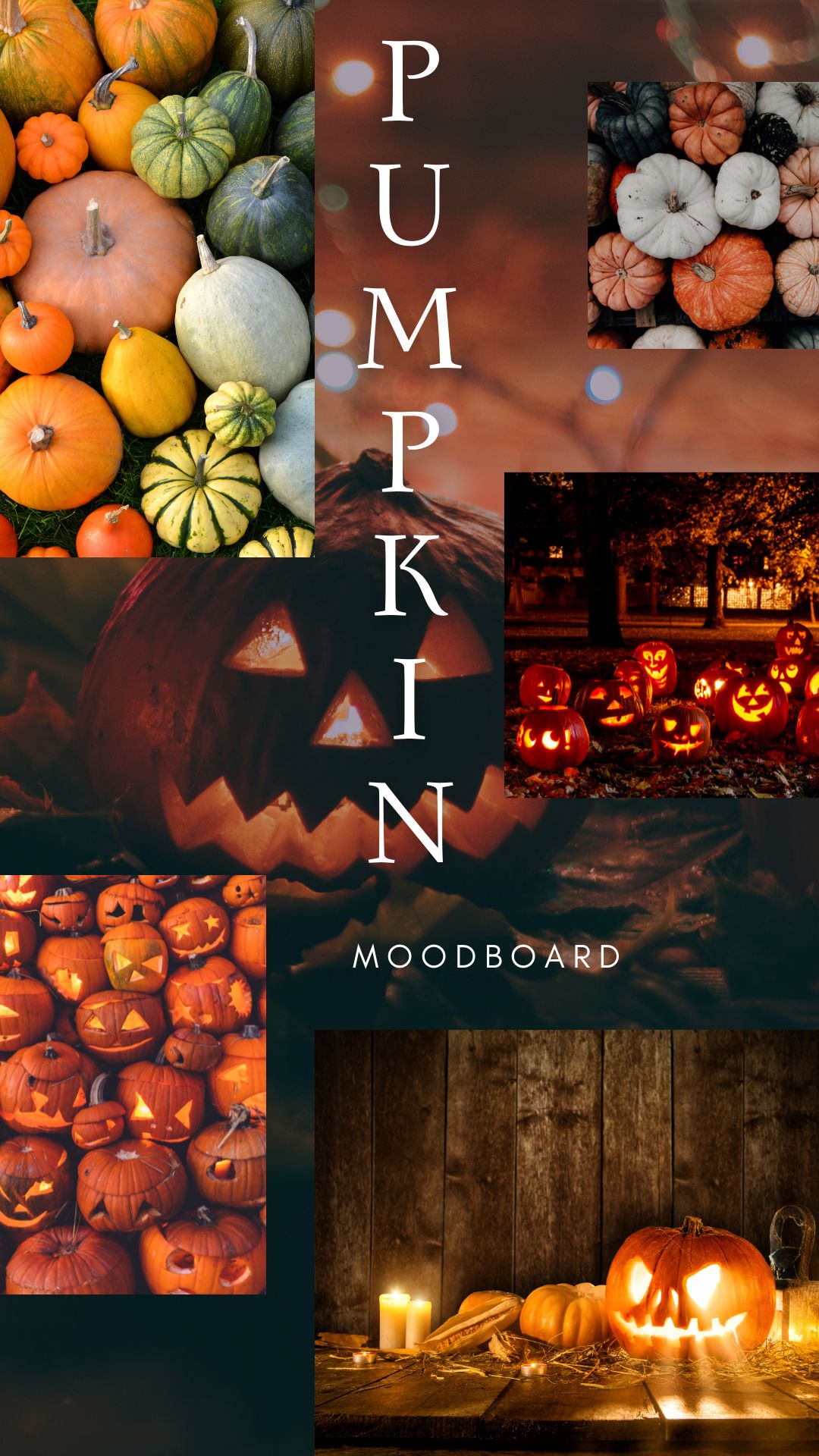 Beautifully carved Halloween pumpkins for fall
