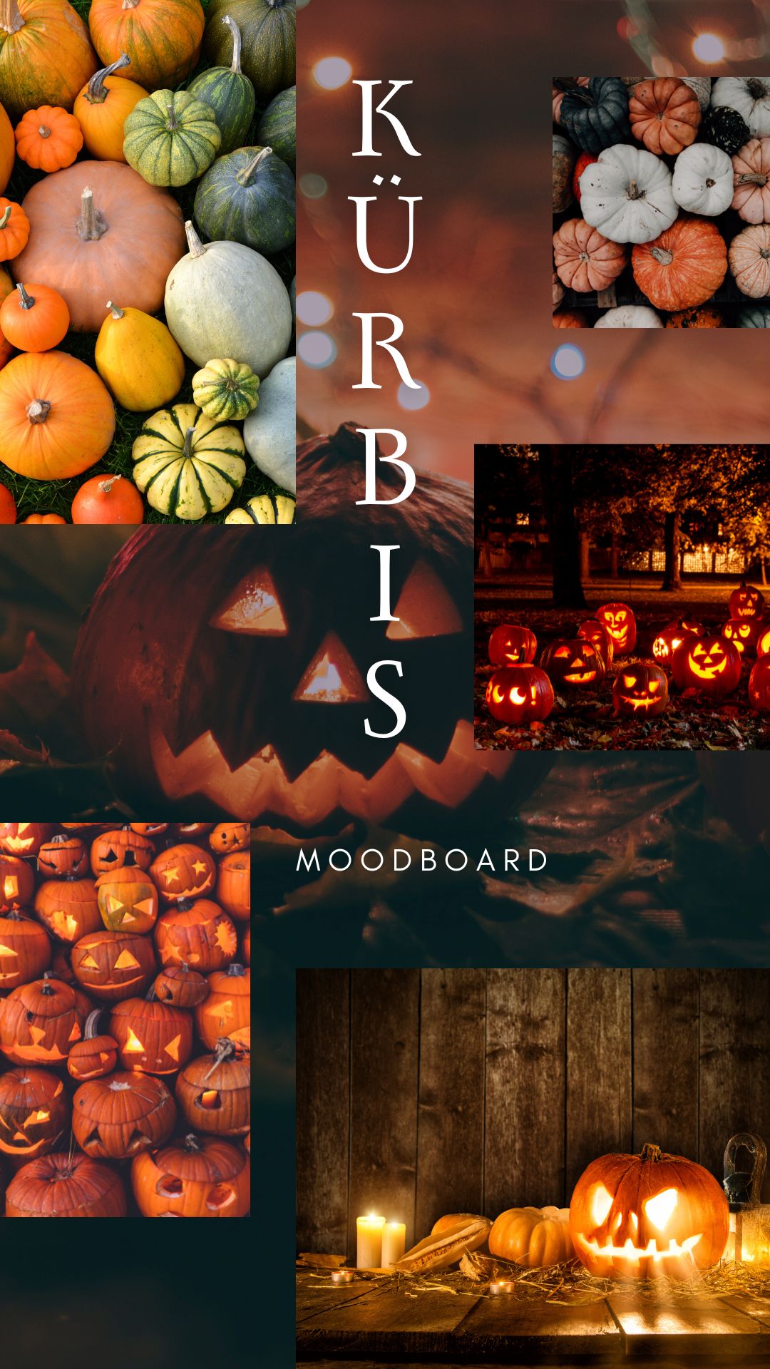 Toll geschnitzte Halloween-Kürbisse für den Herbst