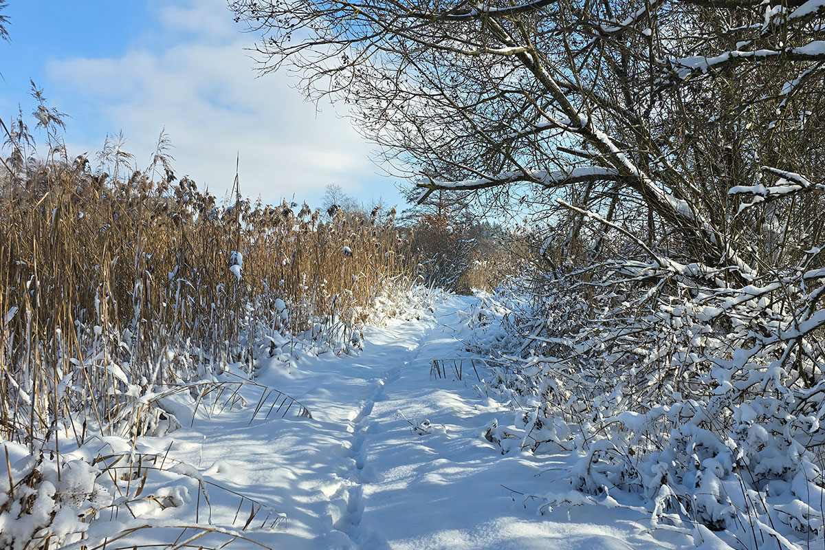 Aus Herbst wird Winter: Mein Monatsrückblick für November