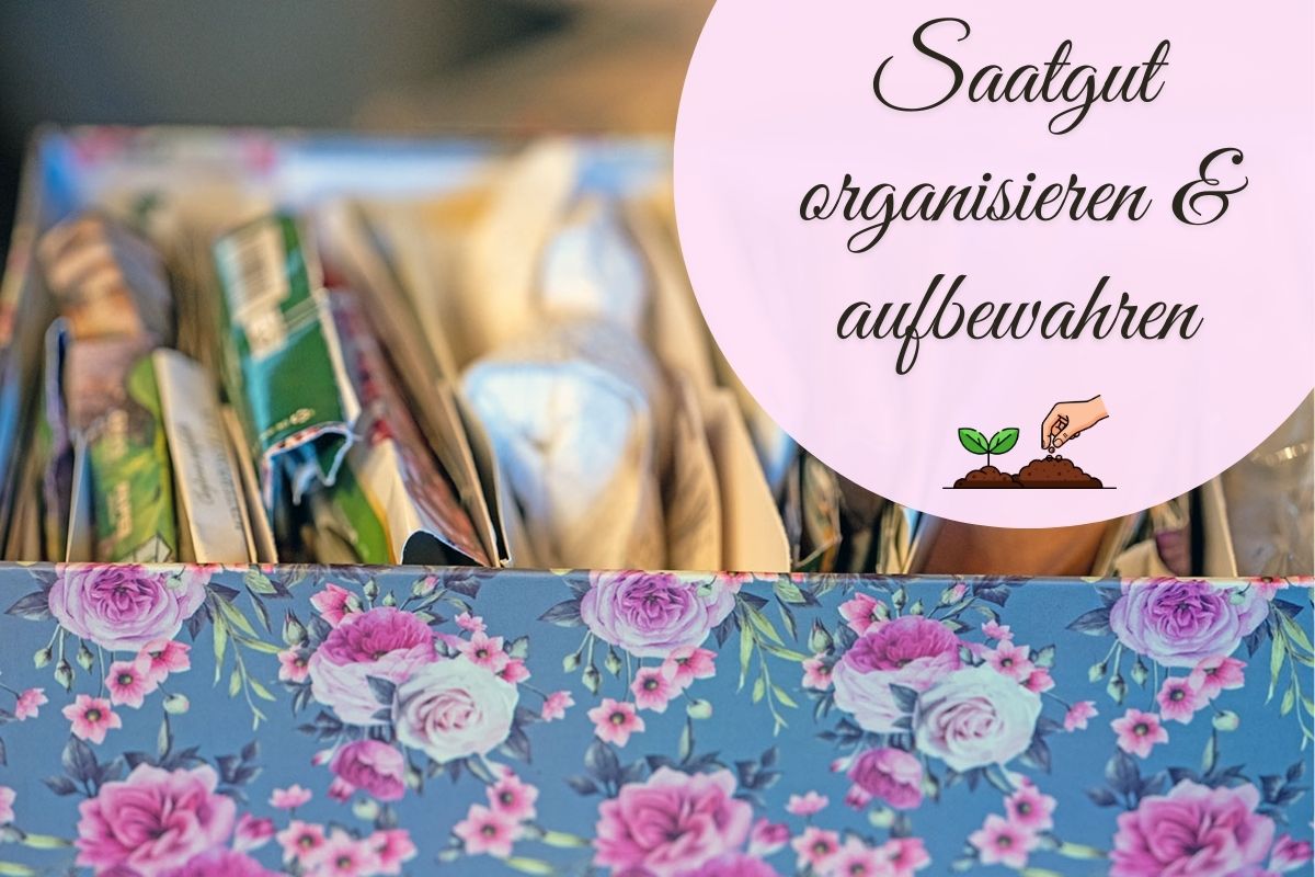 Saatgut organisieren wie ein Profi – So bleiben Samen lange keimfähig & dein Gartenjahr stressfrei