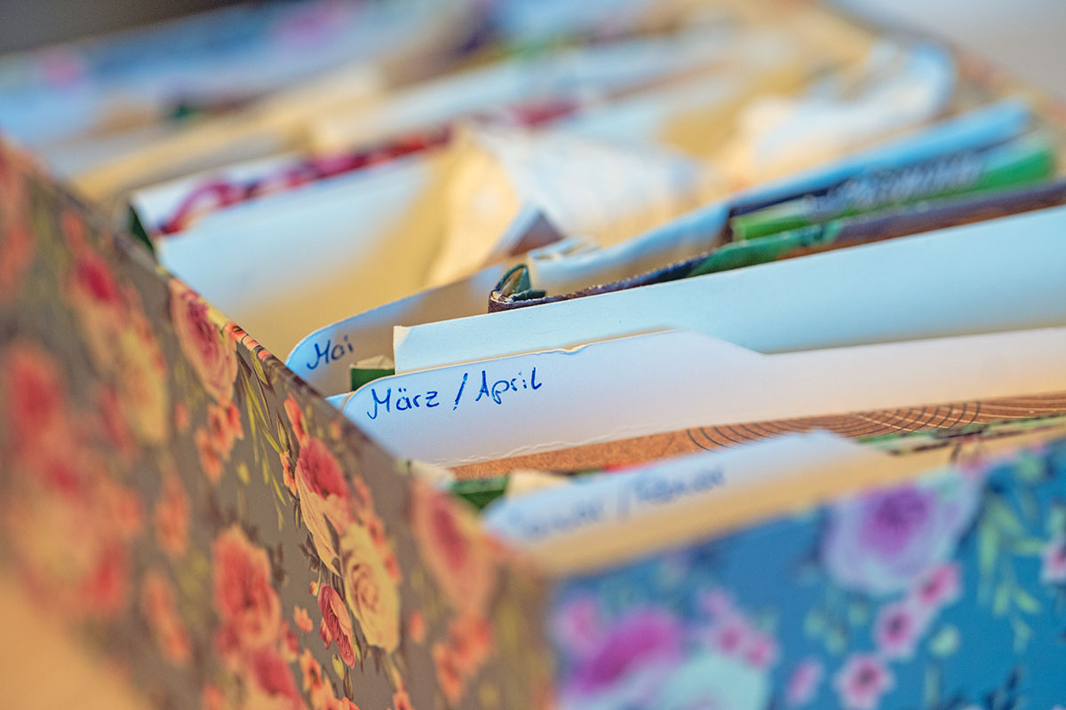 RetroCats Saatgut sortiert nach Aussaat-Monat