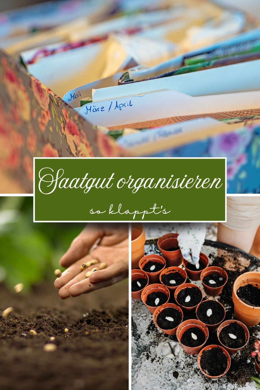 Saatgut organisieren: Die besten Tipps für Ordnung und eine gute Keimrate