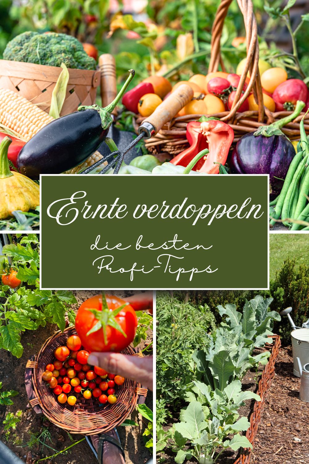 Clever anbauen: So kannst du deine Ernte verdoppeln oder sogar verdreifachen