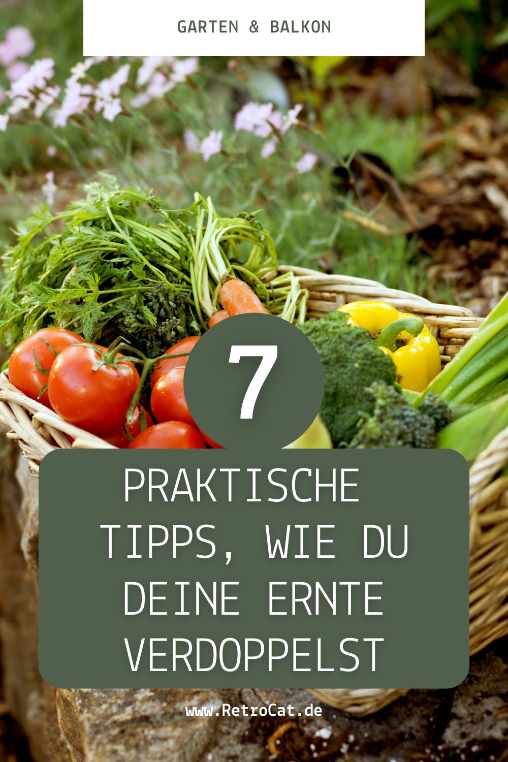 Tipps und Trick, wie die Ernte verdoppelt werden kann