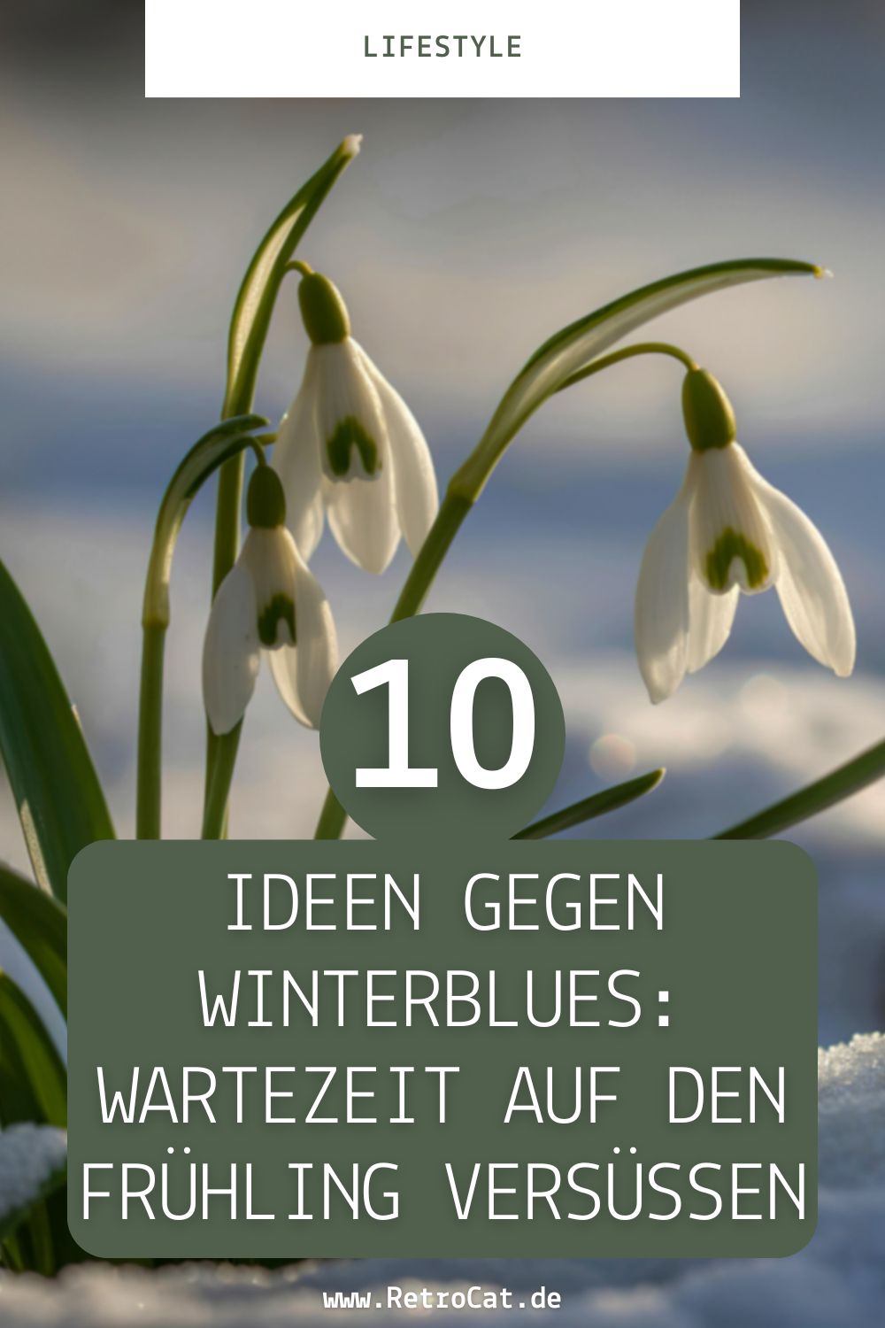 10 tips against the winter blues: RetroCats ideas