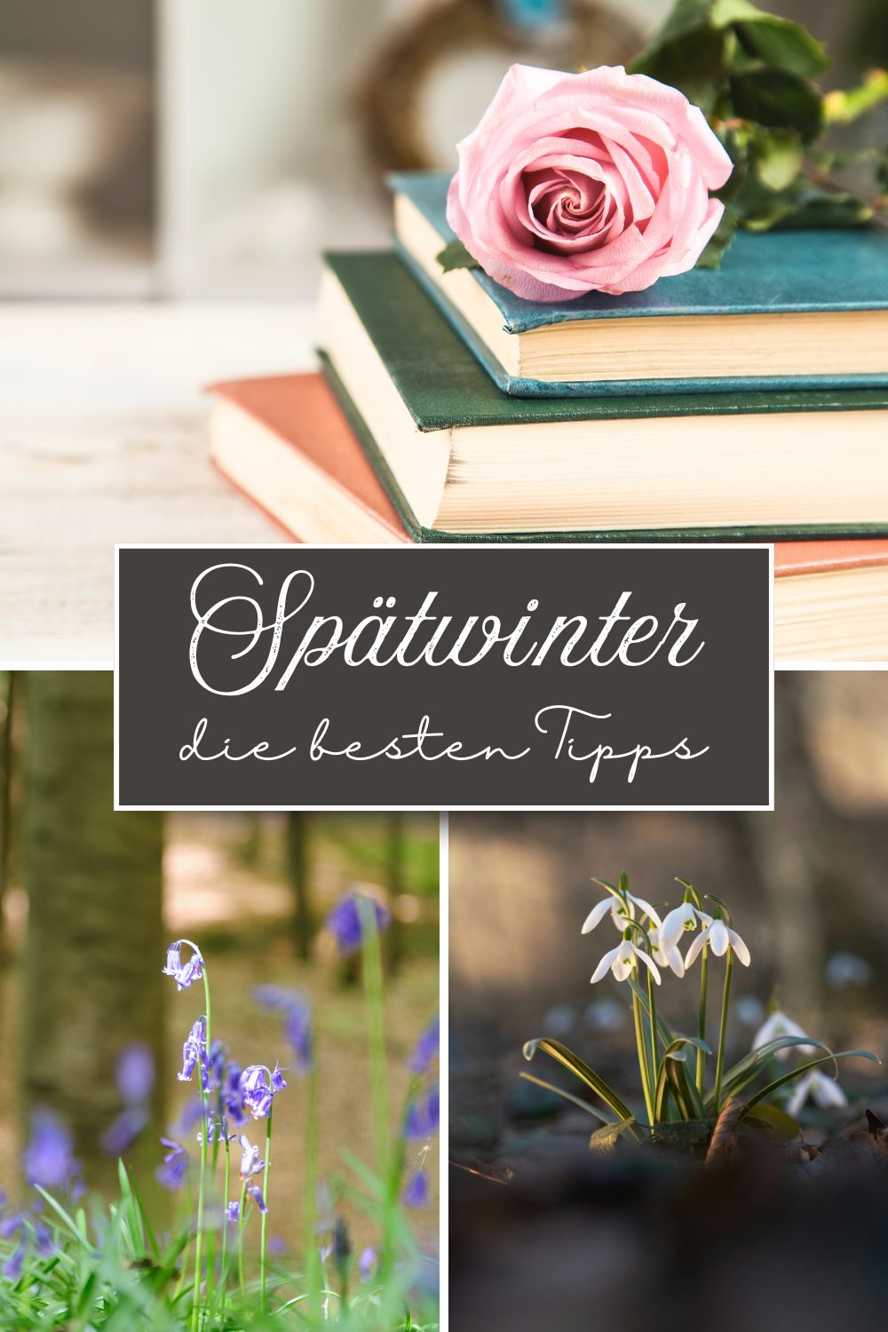 Tips for late winter: How to sweeten the wait for spring