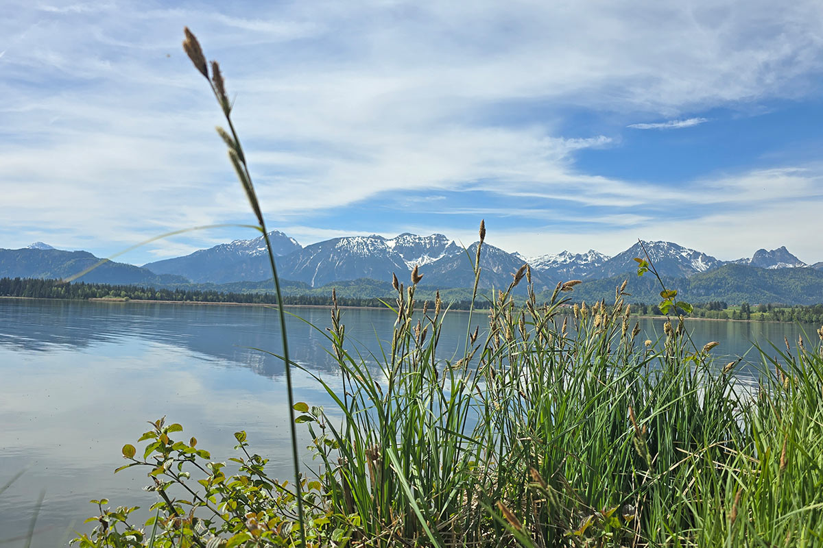 From Spring to Early Summer: My May Recap