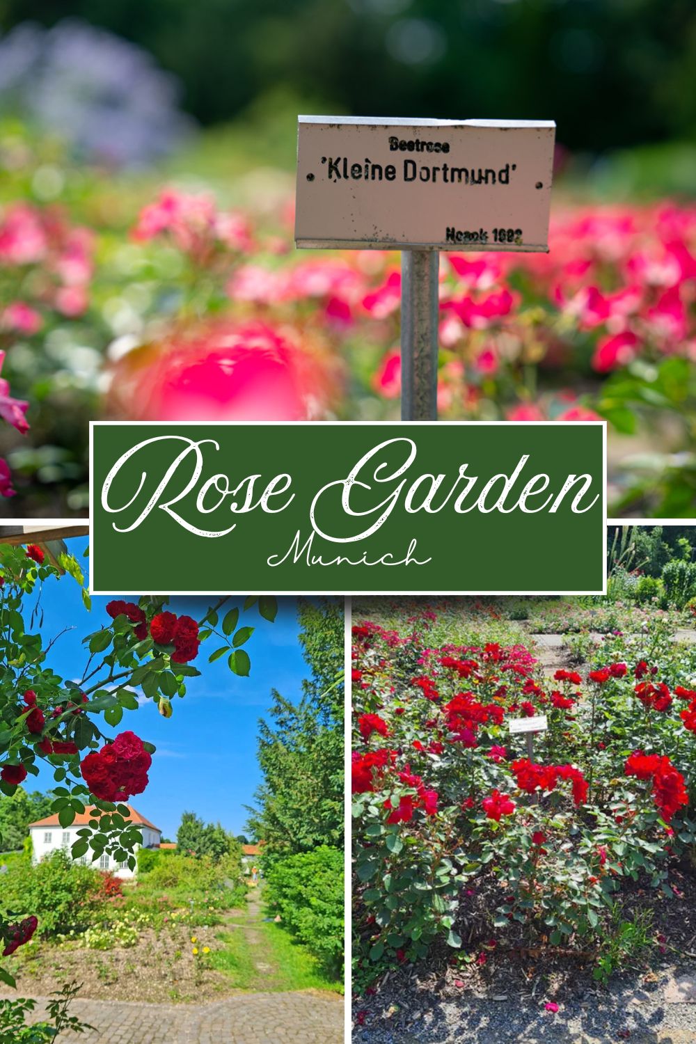 The Rose Garden in Munich - Travel Tip