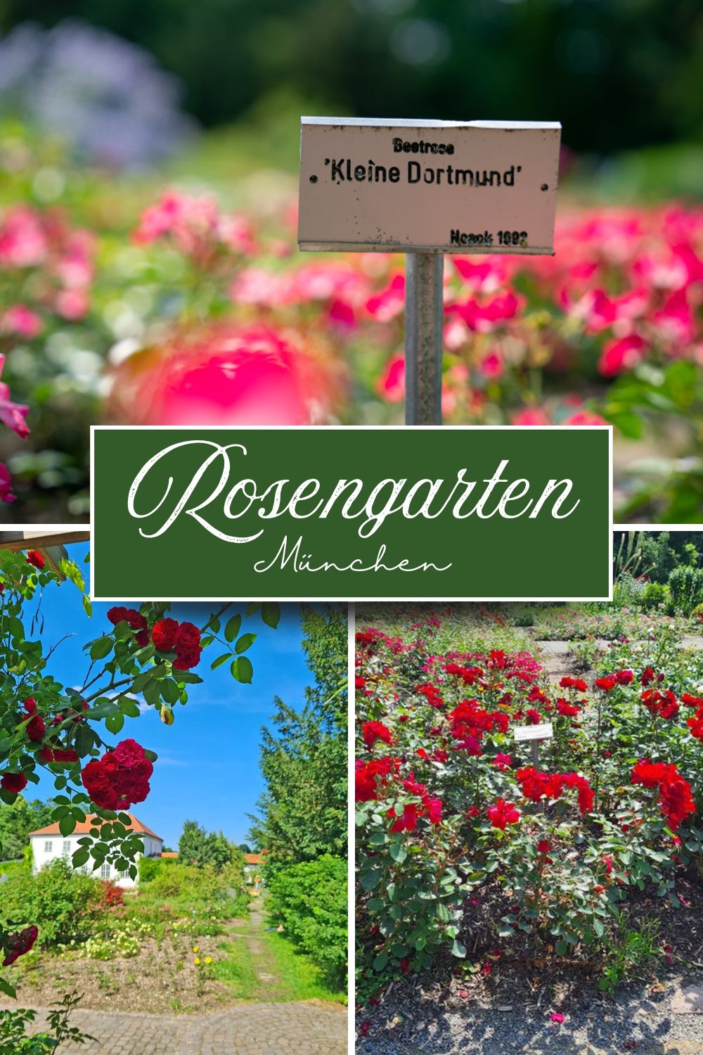 Ausflugstipps: Rosengarten München