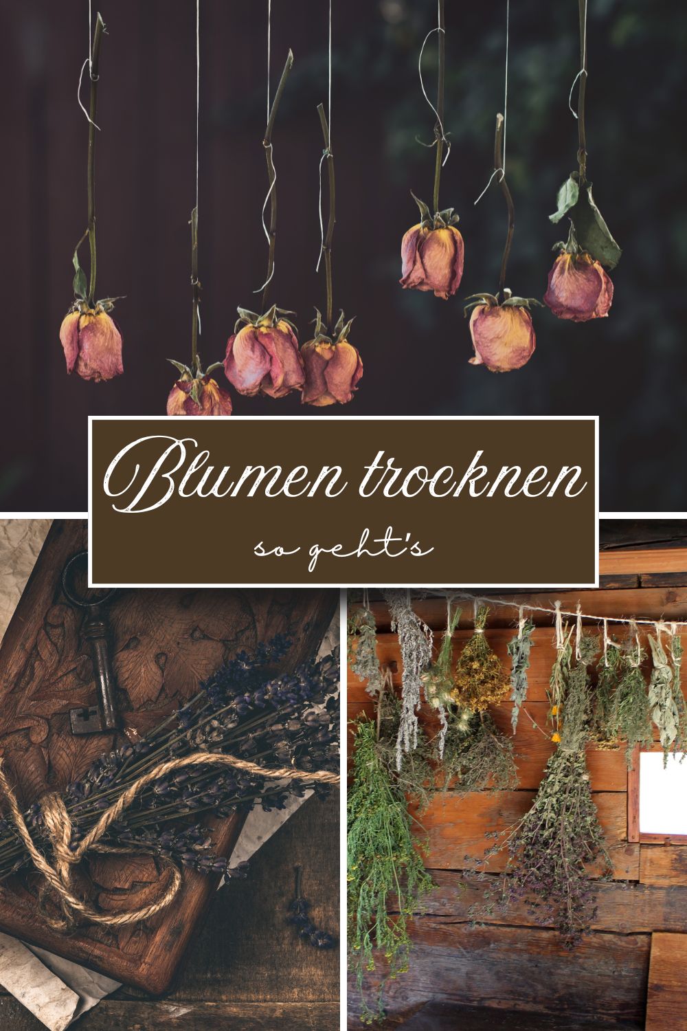 Blumen trocknen: So geht's richtig - RetroCats Tipps