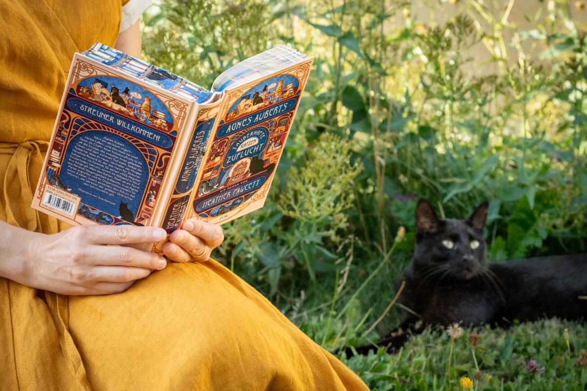 Agnes Auberts zauberhafte Katzenzuflucht – Cozy Fantasy zum Wohlfühlen
